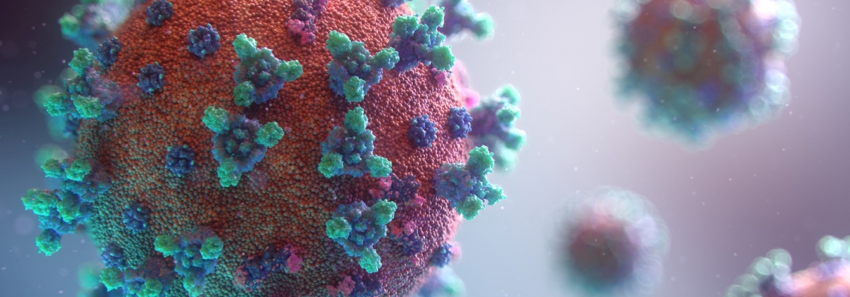 venture capital dopo il coronavirus